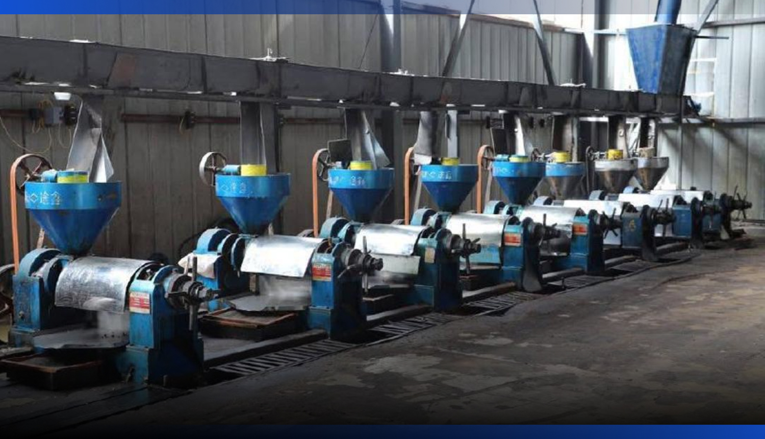 Image for Завод по переработке масличных культур запустили в Туркестанской области